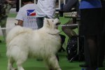 Meilleur Vétéran Championnat France 2015